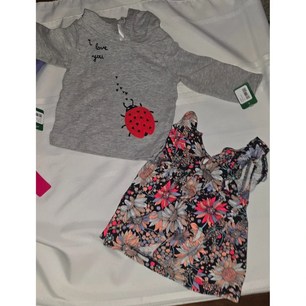 Carters stock up